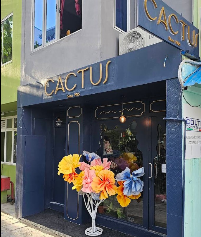 Cactus